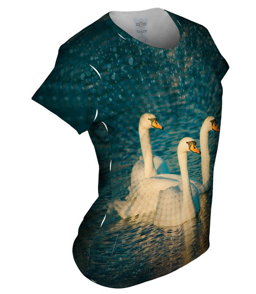Swan Dream Top