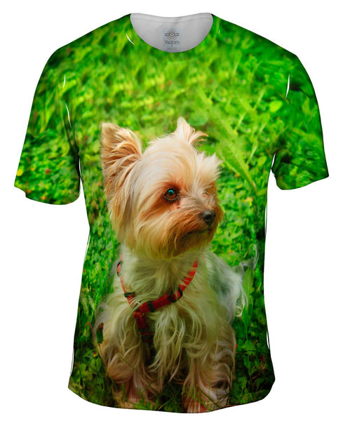 Yorkshire Terrier Moss Mens T-Shirt