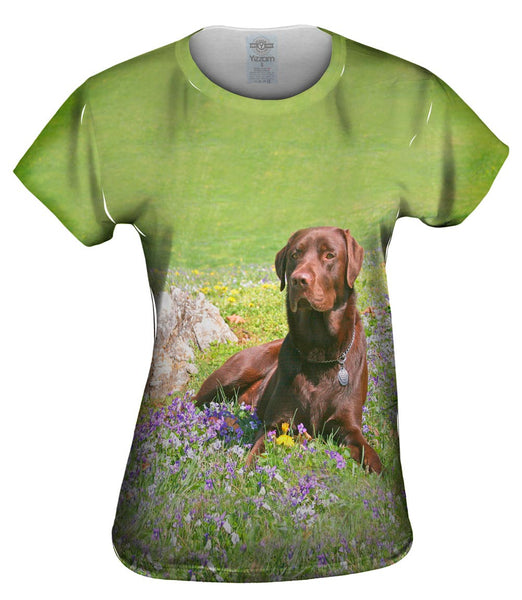 Chocolate Lab In Spring Womens Top