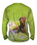 Chocolate Lab In Spring