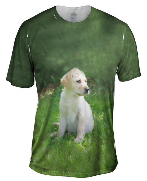 Young Golden Lab Mens T-Shirt