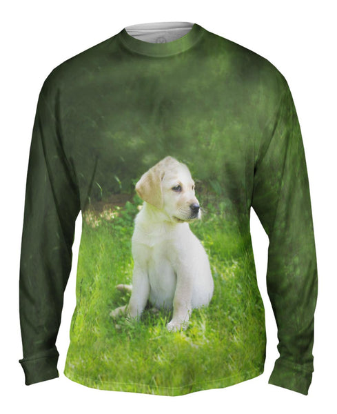 Young Golden Lab Mens Long Sleeve