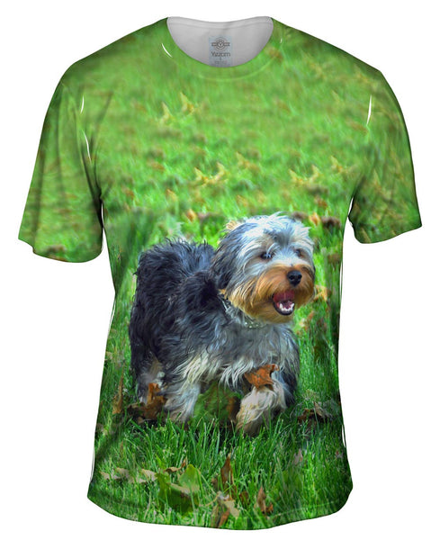 Curly Haired Yorkie Running Mens T-Shirt