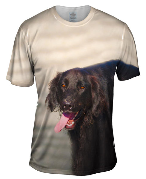 Dog Tired Mens T-Shirt