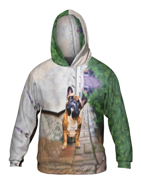 Whats That French Bulldog Mens Hoodie Sweater