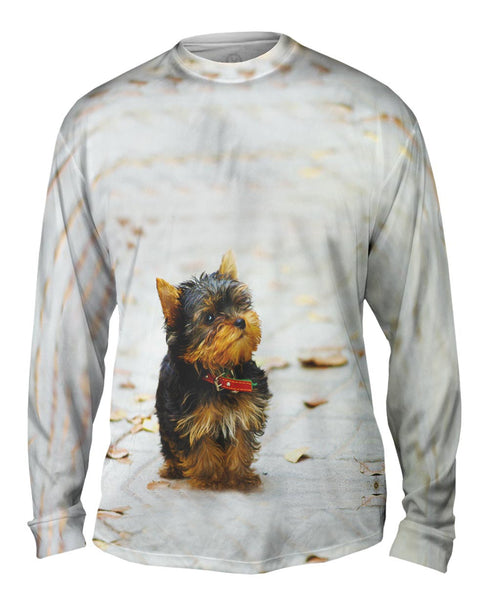 Curious Yorkie Puppy Mens Long Sleeve