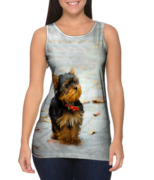Curious Yorkie Puppy Womens Tank Top