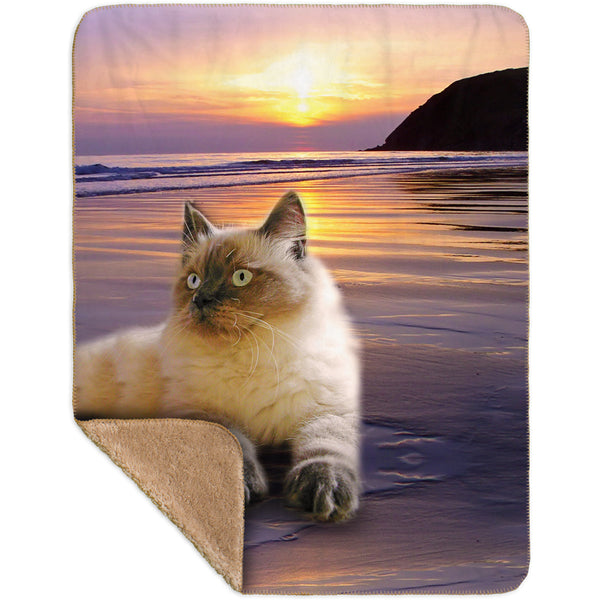 Beach Beauty Kitty Cat Sherpa Blanket