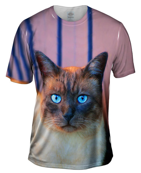 Sapphire Eyes Cat Mens T-Shirt