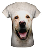 Happy Golden Labrador Dog Face