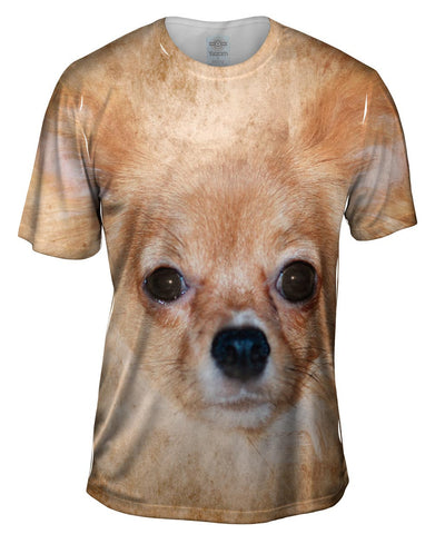 Furry Chihuahua Dog Face