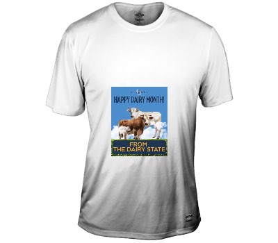 Custom Short Sleeve TShirt&nbsp;Custom