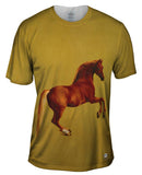 George Stubbs - "Whistlejacket " (1762)
