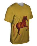 George Stubbs - "Whistlejacket " (1762)