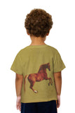 Kids George Stubbs - "Whistlejacket " (1762)