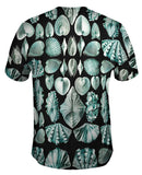 Ernst Haeckel - "Haeckel Acephala" (1904)