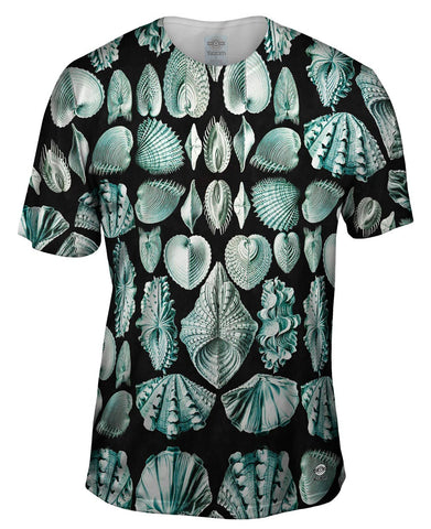 Ernst Haeckel - "Haeckel Acephala" (1904)