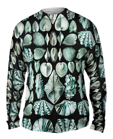 Ernst Haeckel - "Haeckel Acephala" (1904)