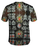 Ernst Haeckel - "Haeckel Stephoidea" (1904)