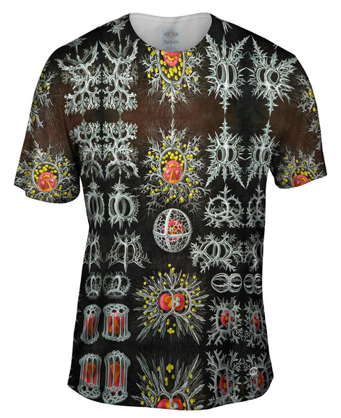 Ernst Haeckel - "Haeckel Stephoidea" (1904)&nbsp;Mens T-Shirt