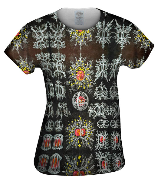 Ernst Haeckel - "Haeckel Stephoidea" (1904)&nbsp;Womens Top