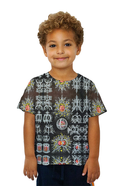 Kids Ernst Haeckel - "Haeckel Stephoidea" (1904)&nbsp;Kids T-Shirt