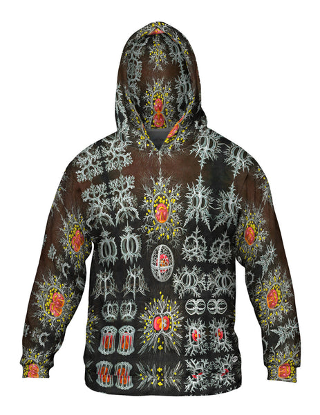Ernst Haeckel - "Haeckel Stephoidea" (1904)&nbsp;Mens Hoodie Sweater