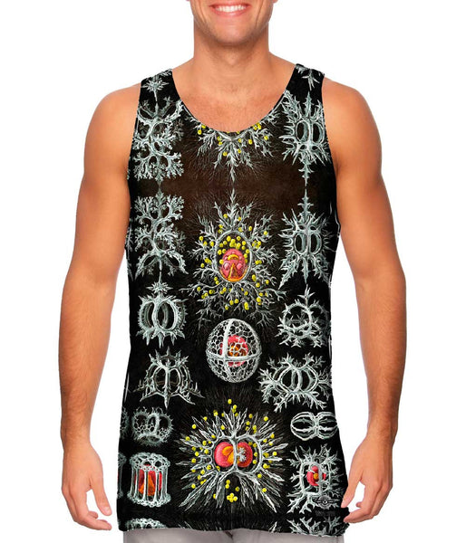 Ernst Haeckel - "Haeckel Stephoidea" (1904)&nbsp;Mens Tank Top