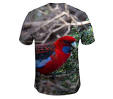 Crimson Rosella