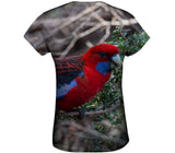 Crimson Rosella