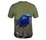 Splendid Fairy Wren