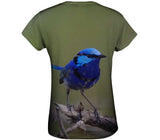 Splendid Fairy Wren