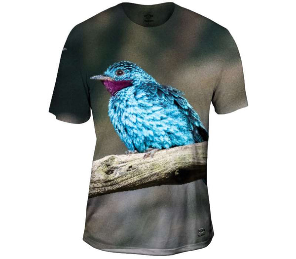 Beautiful Blue Birdy Mens T-Shirt