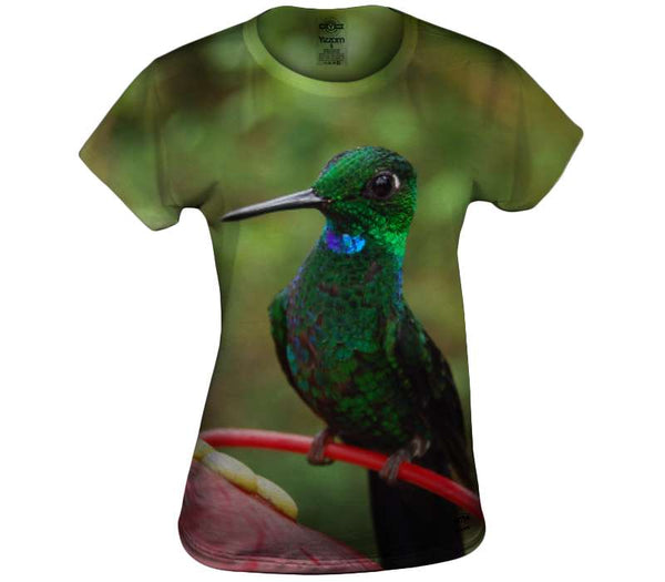 Blue Green Bird Womens Top