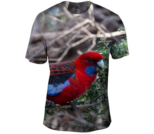 Crimson Rosella Mens T-Shirt