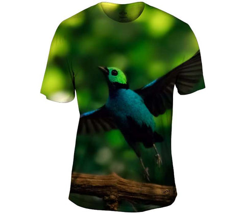 Paradise Tanager