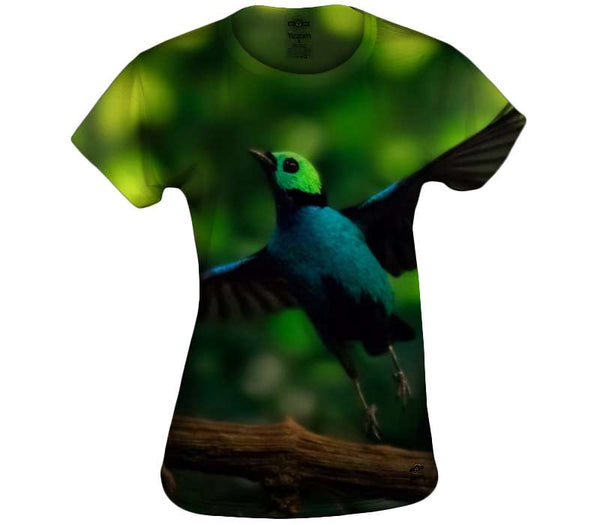 Paradise Tanager Womens Top