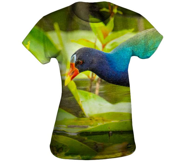 Purple Gallinule Womens Top