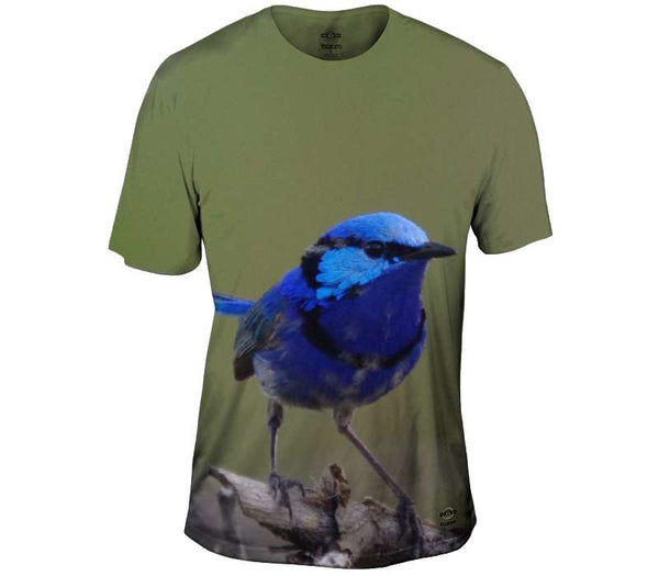 Splendid Fairy Wren Mens T-Shirt