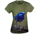 Splendid Fairy Wren