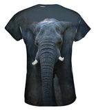 Elephant Soul