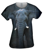 Elephant Soul
