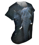 Elephant Soul
