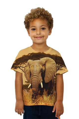Kids Elephant Savannah