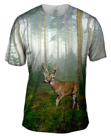 Wandering deer