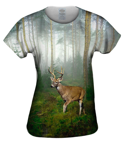 Wandering deer