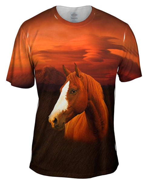 Painted Horse Mens T-Shirt