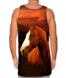 Painted Horse