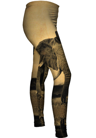 Top Hat Elephant