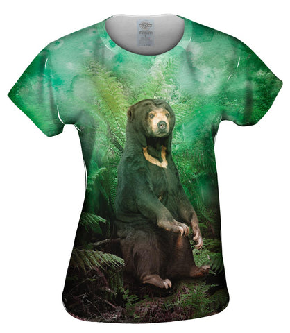 Trees Sun Bear